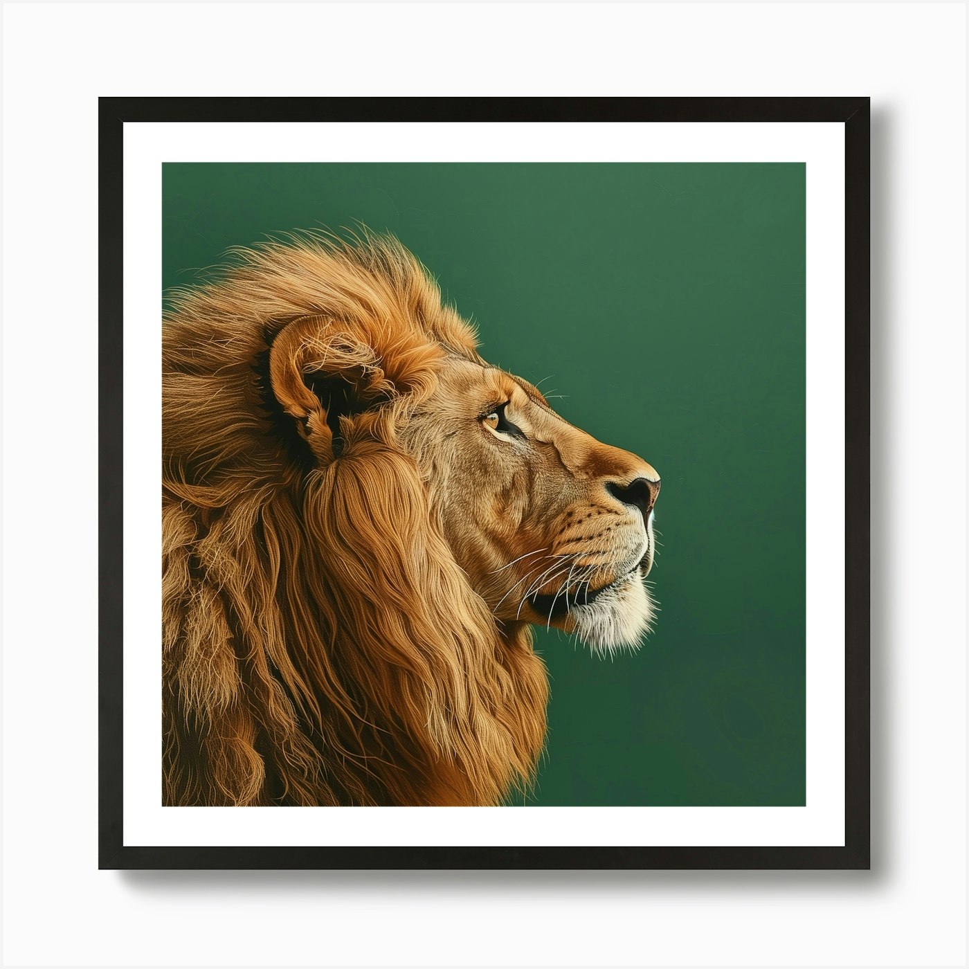 Animal Lion In The Green Room Squar Framed Wall Art Poster Canvas Print Picture