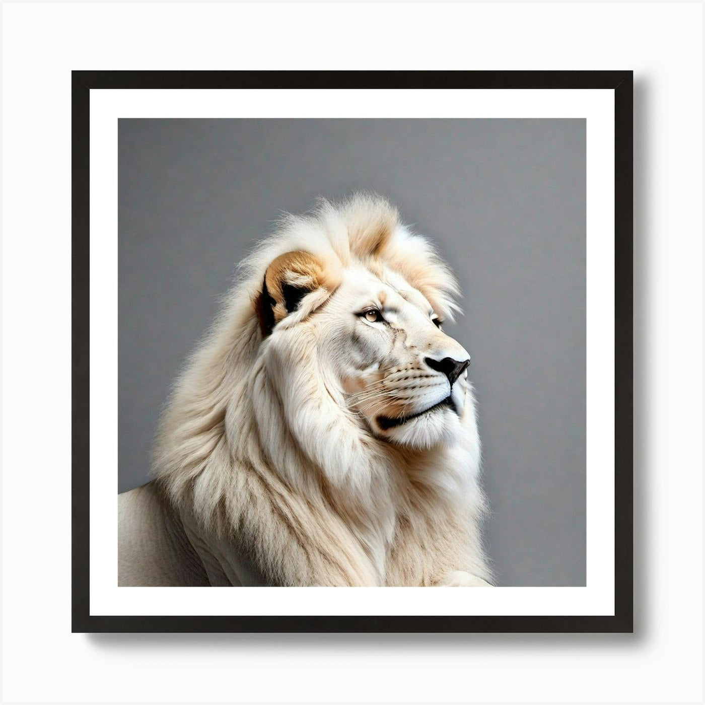 Lion Portrait 20 Art Print Framed Wall Art Poster Canvas Print Picture