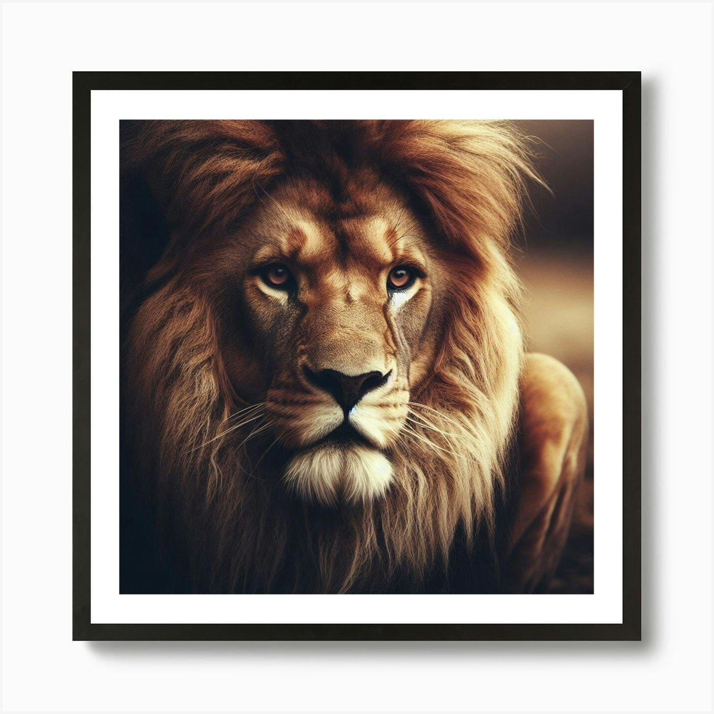 A powerful and majestic lion in its Framed Wall Art Poster Canvas Print Picture