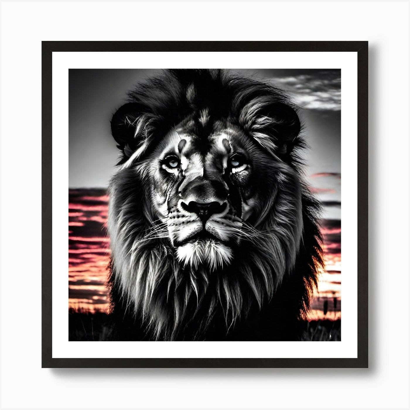 Lion At Sunset 14 Art Print Framed Wall Art Poster Canvas Print Picture