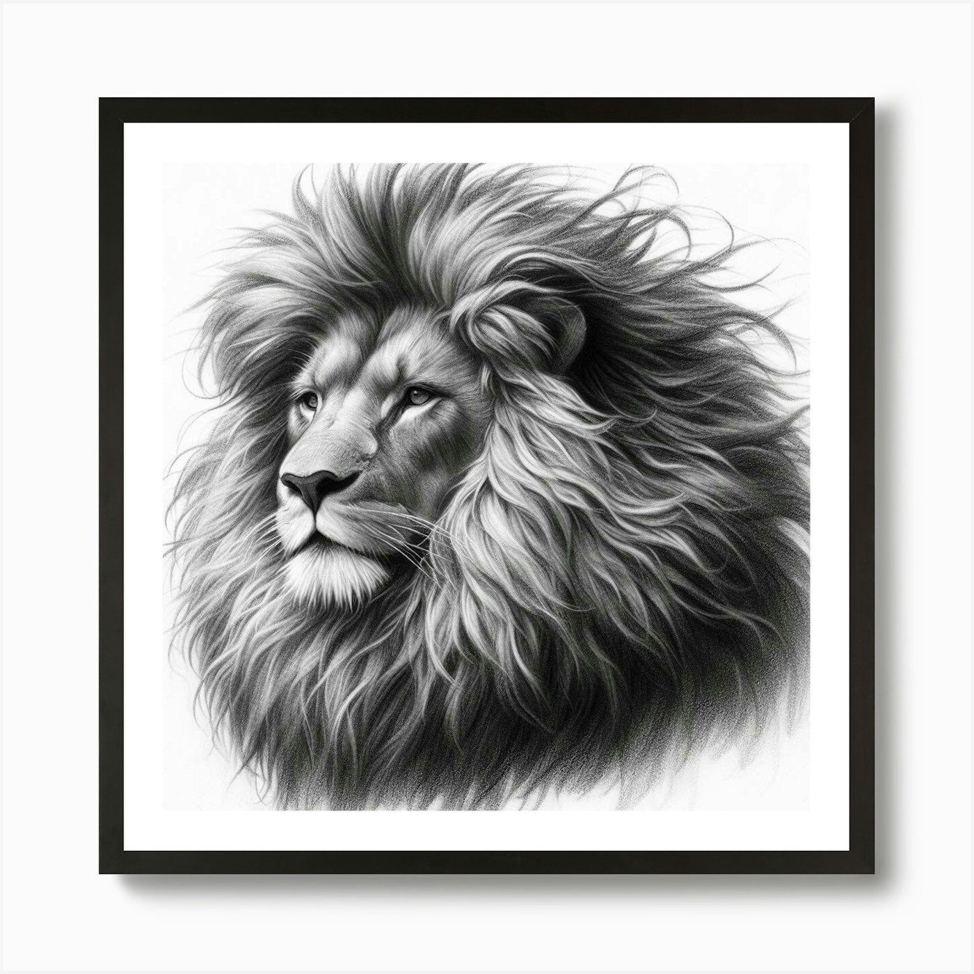 Lion Head drawing in charcoal Art P Framed Wall Art Poster Canvas Print Picture