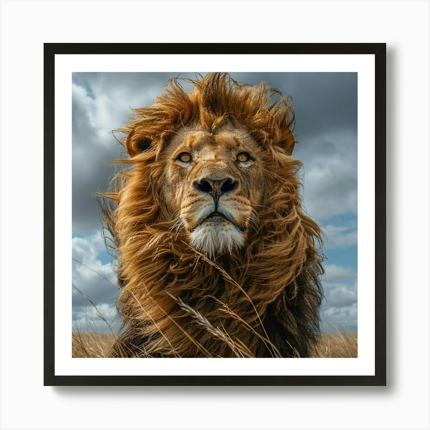 Lion In The Grass 3 Art Print Framed Wall Art Poster Canvas Print Picture