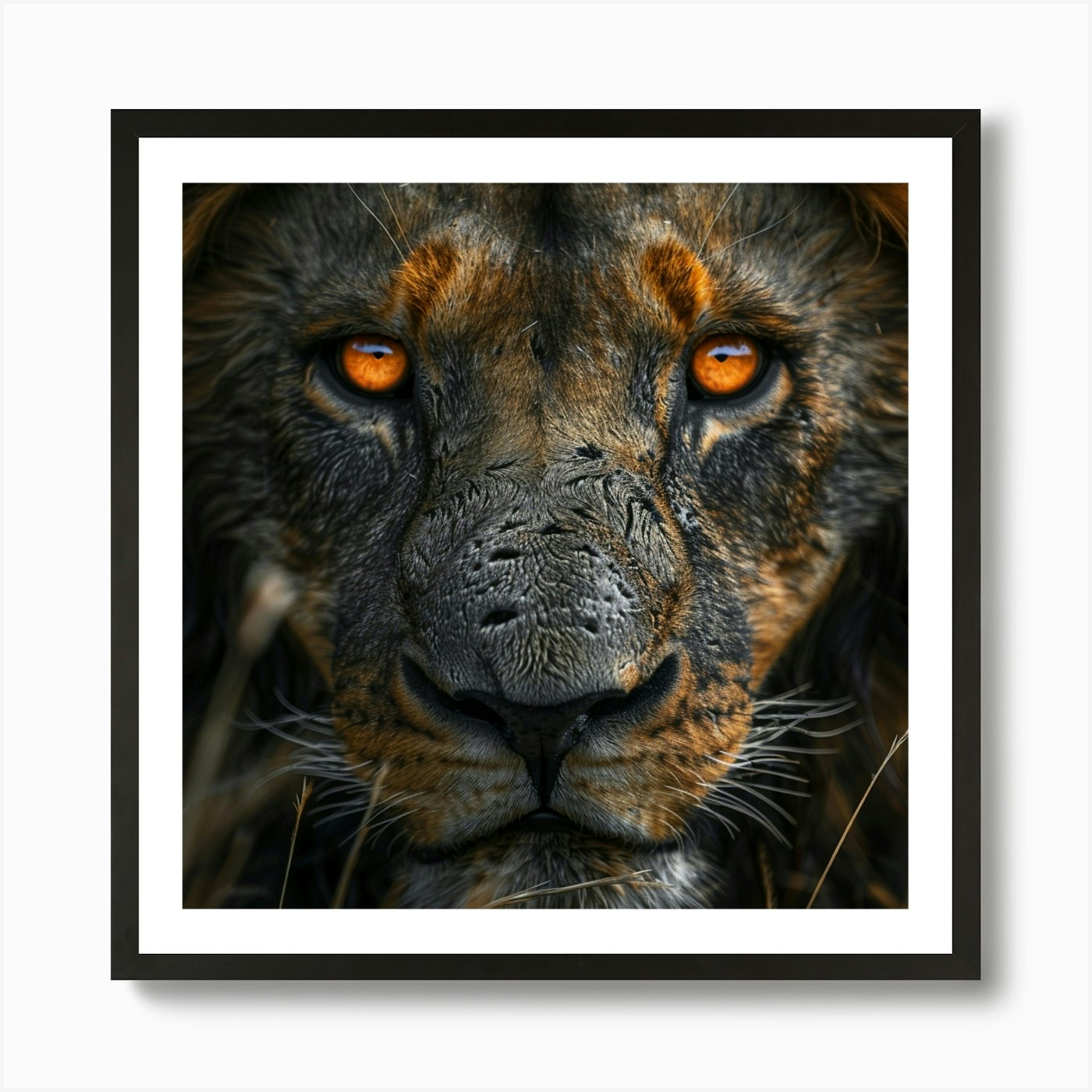 Portrait Of A Lion Art Print Framed Wall Art Poster Canvas Print Picture