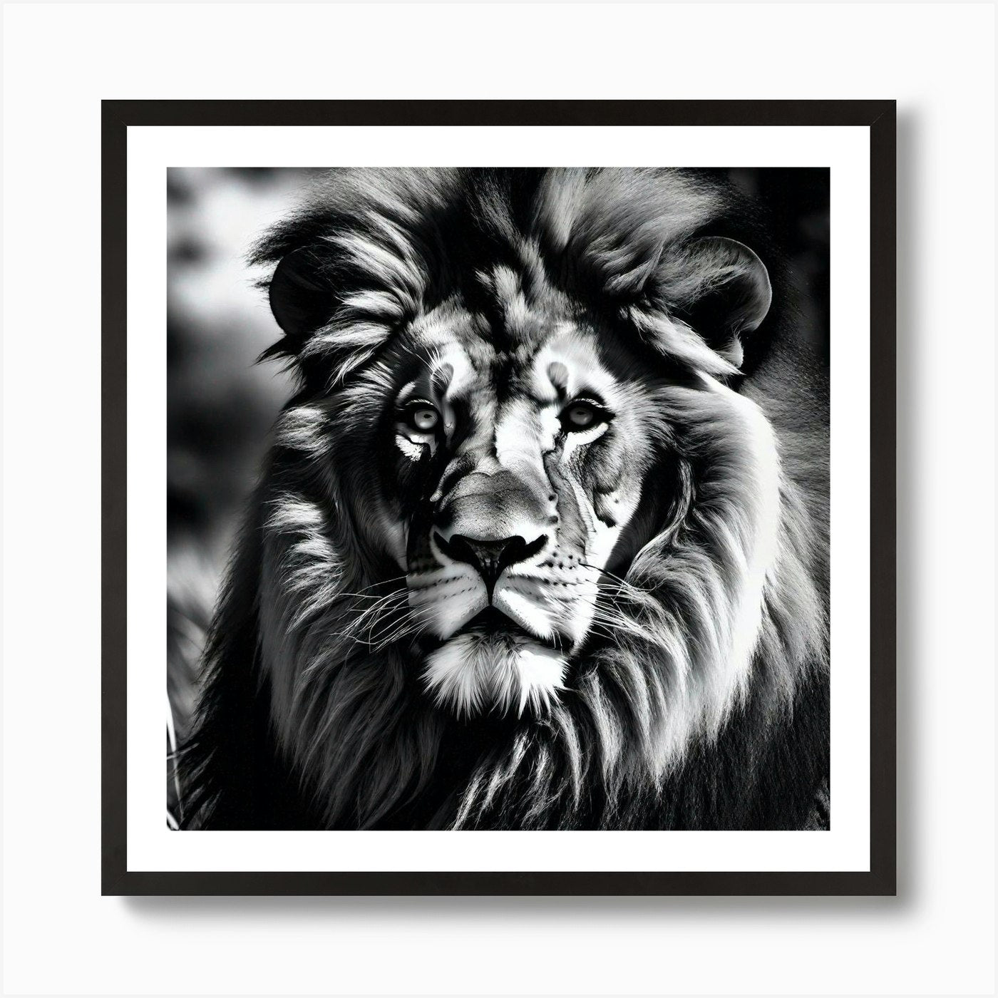 Black And White Lion Art Print Framed Wall Art Poster Canvas Print Picture
