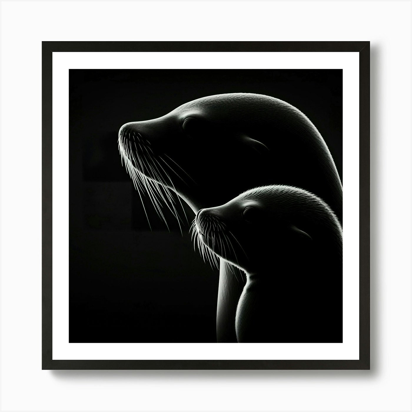 Portrait Of A Sea Lion Art Print Framed Wall Art Poster Canvas Print Picture