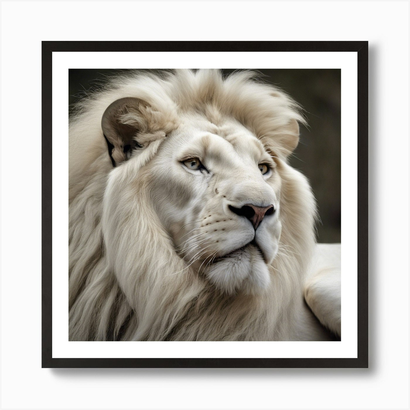White Lion Art Print Framed Wall Art Poster Canvas Print Picture