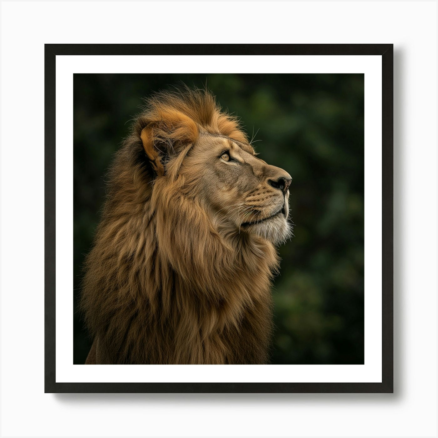 Lion Portrait Art Print Framed Wall Art Poster Canvas Print Picture