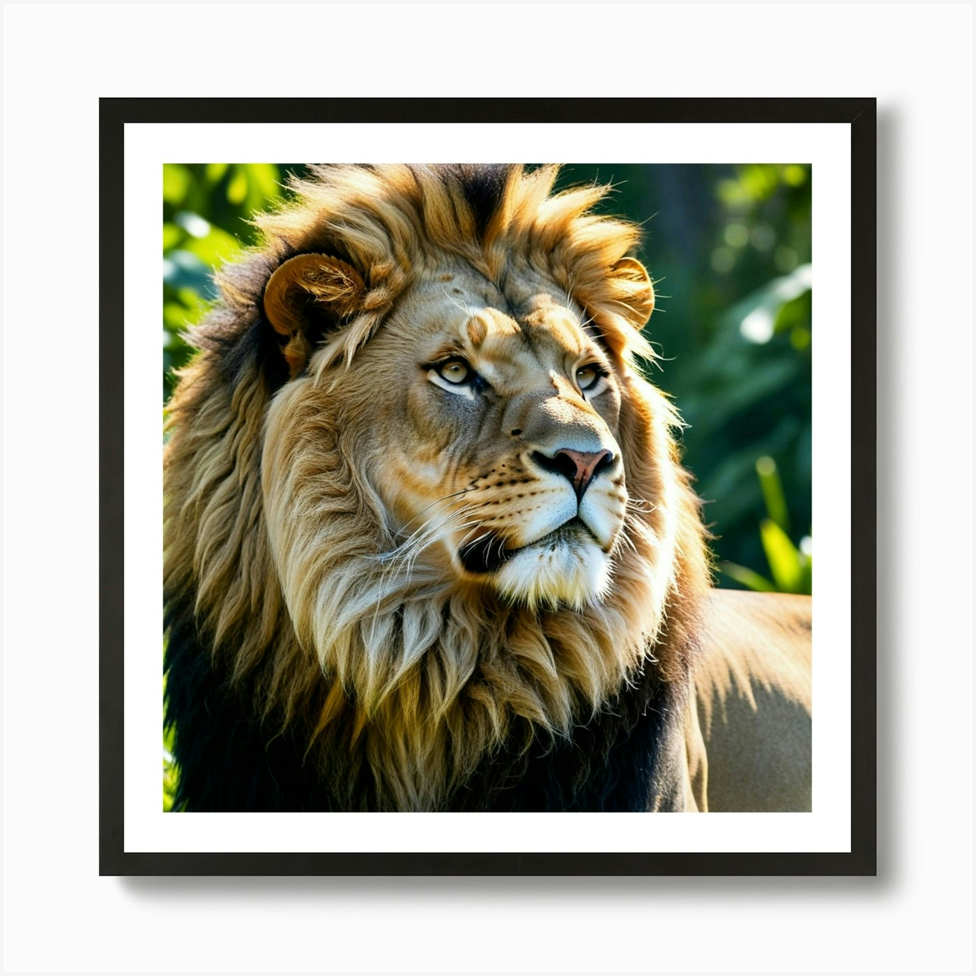 Lion photo 1 Art Print Framed Wall Art Poster Canvas Print Picture