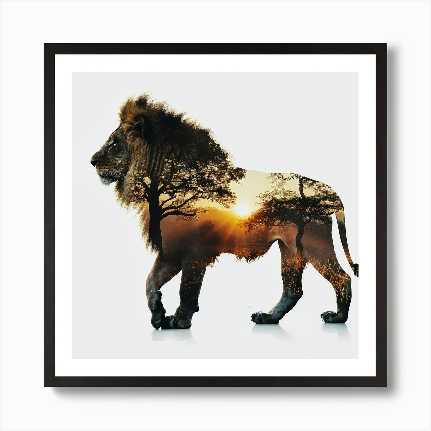 Lion At Sunset Art Print Framed Wall Art Poster Canvas Print Picture