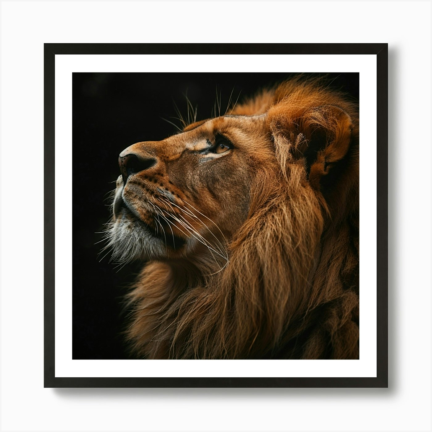 Portrait Of A Lion 1 Art Print Framed Wall Art Poster Canvas Print Picture
