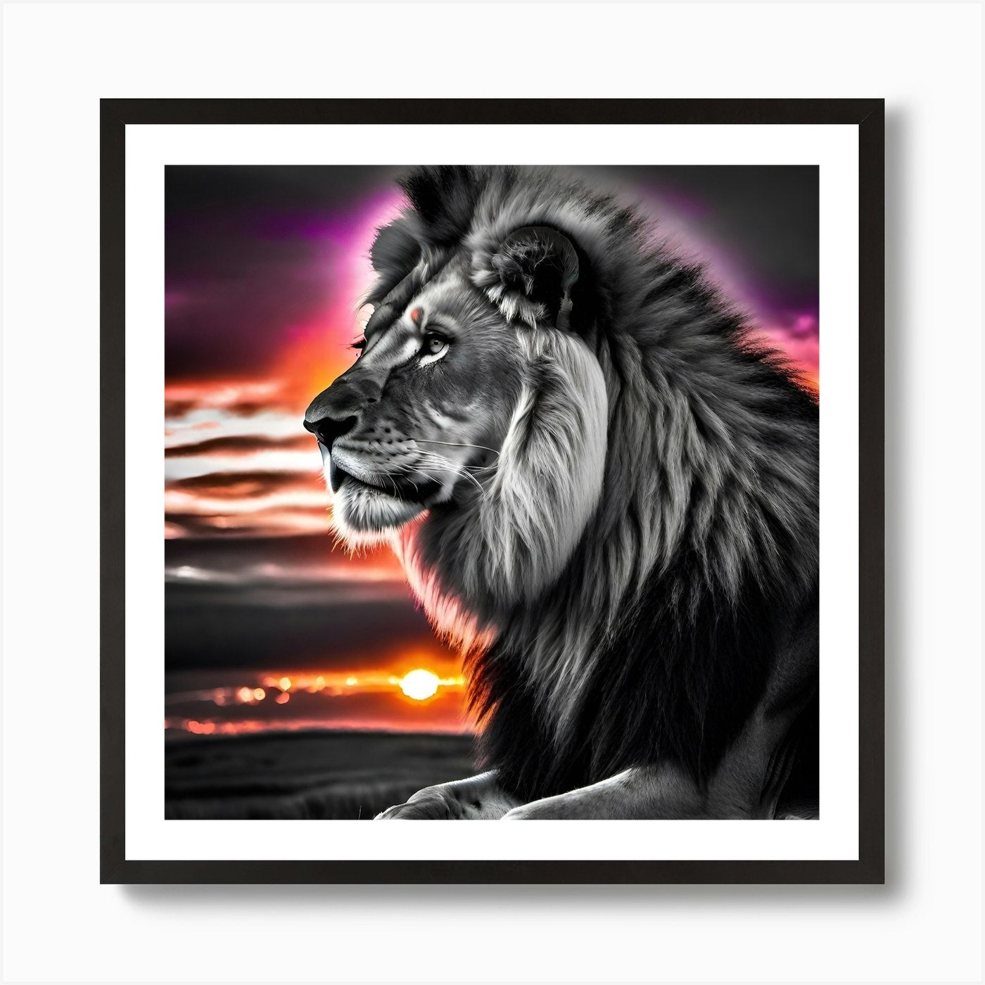 Lion At Sunset 9 Art Print Framed Wall Art Poster Canvas Print Picture