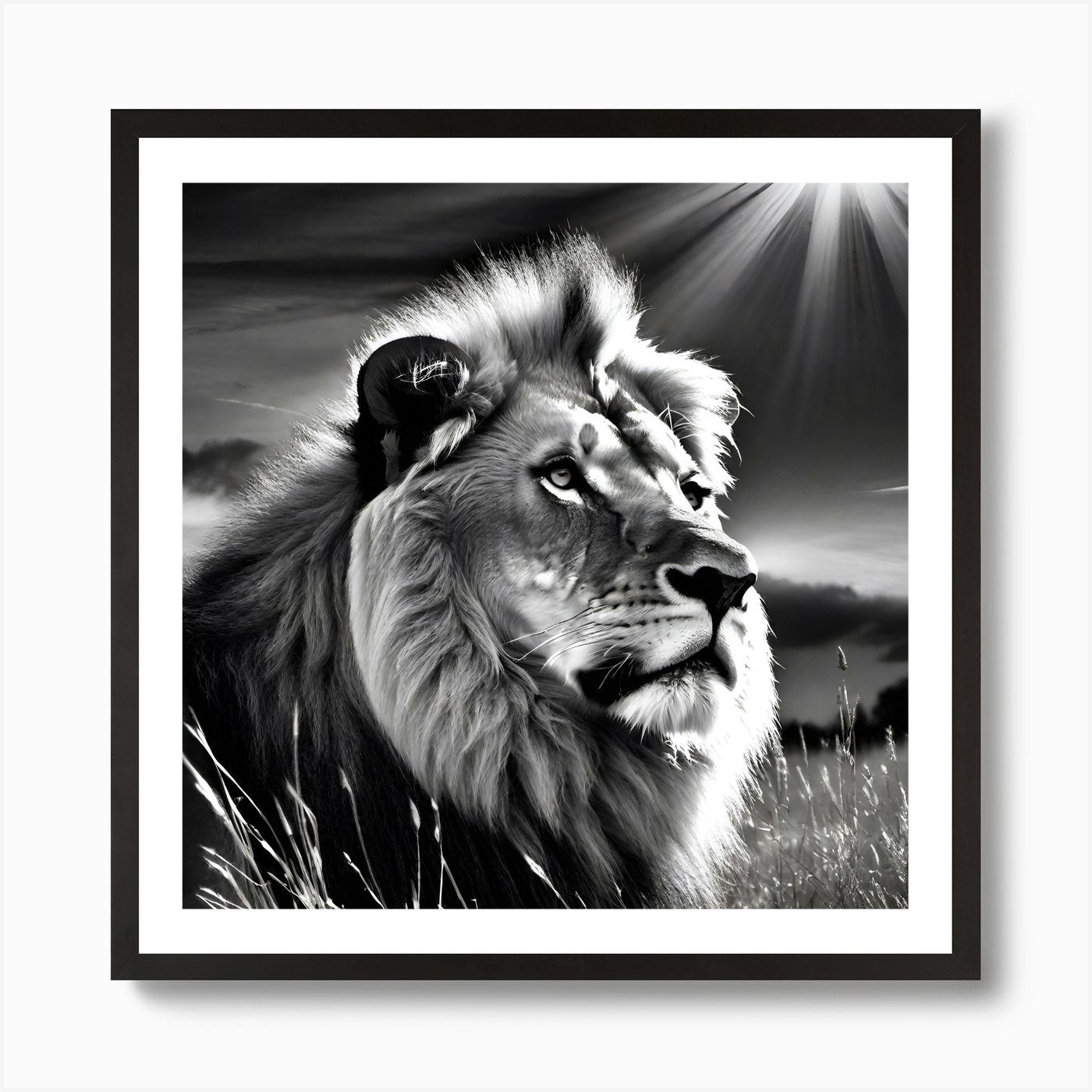 Lion In The Grass 4 Art Print Framed Wall Art Poster Canvas Print Picture