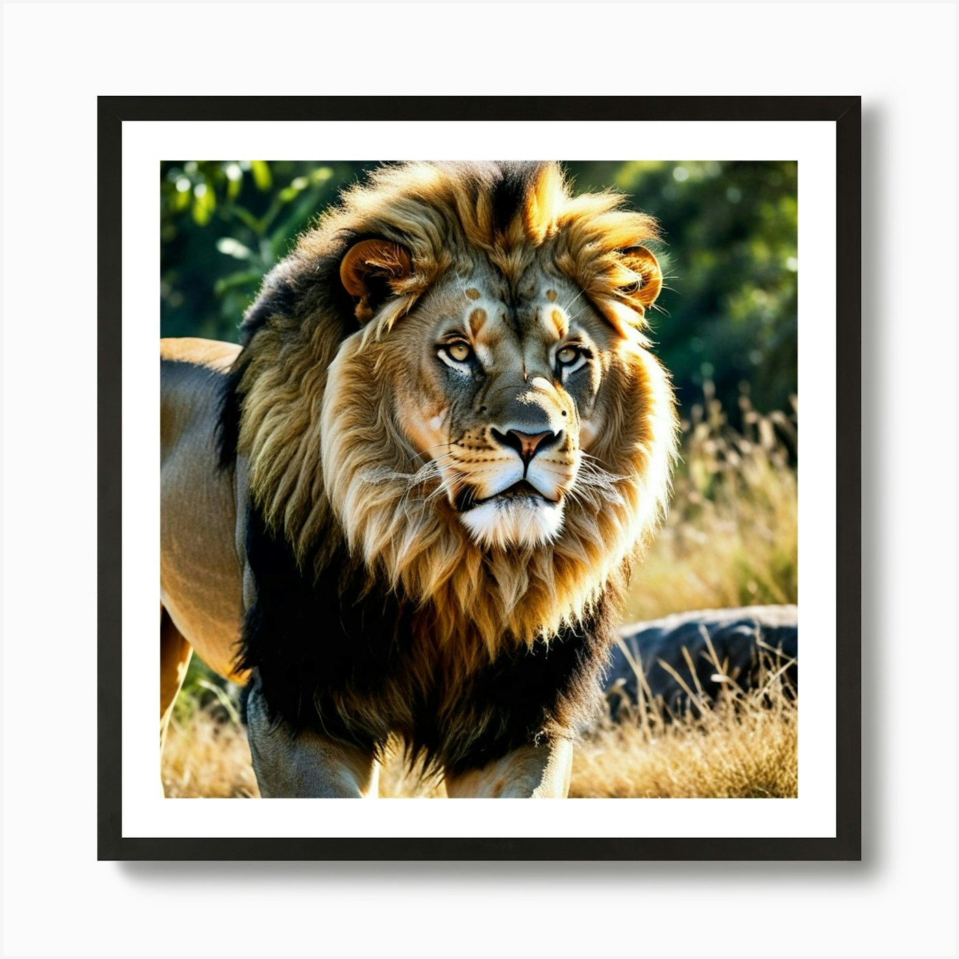 Lion Walking Art Print Framed Wall Art Poster Canvas Print Picture