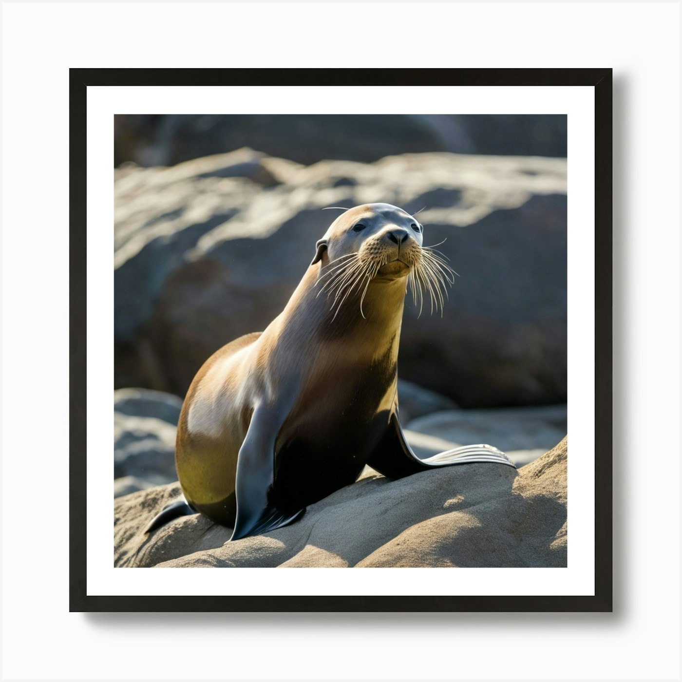 Sea Lion Art Print Framed Wall Art Poster Canvas Print Picture