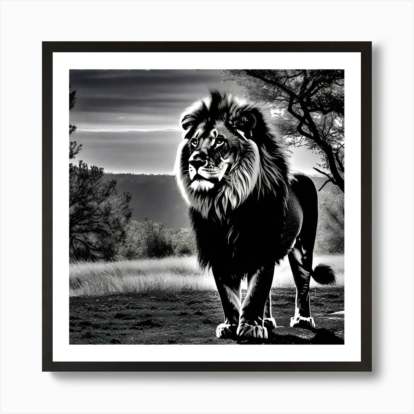 Lion In Black And White 4 Art Print Framed Wall Art Poster Canvas Print Picture