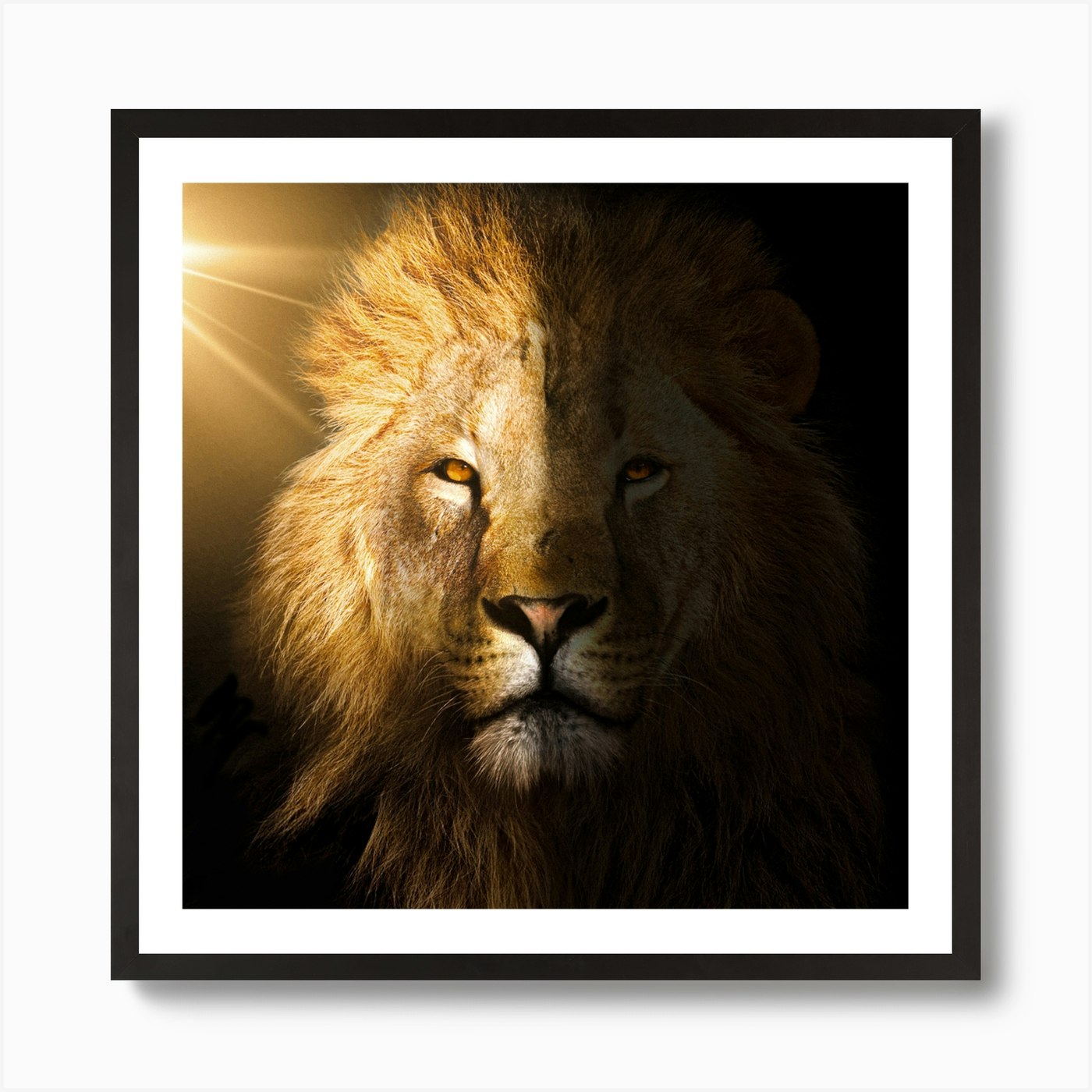 Lion 1 Art Print Framed Wall Art Poster Canvas Print Picture