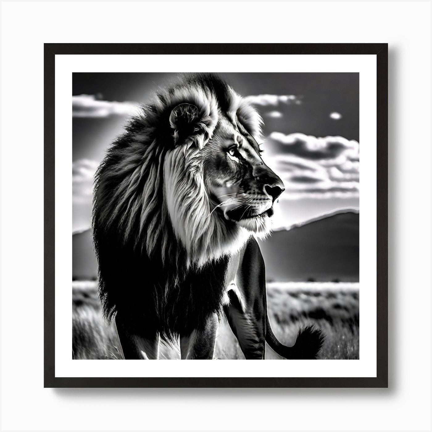 Lion In The Grass 1 Art Print Framed Wall Art Poster Canvas Print Picture