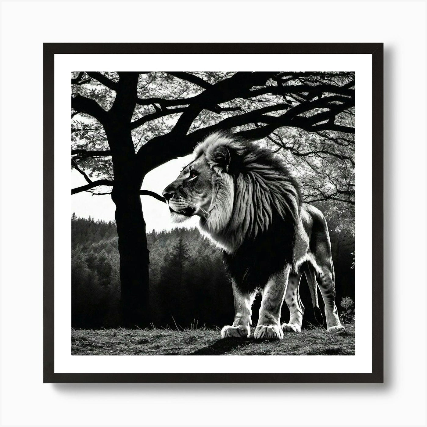 Lion In The Forest 4 Art Print Framed Wall Art Poster Canvas Print Picture