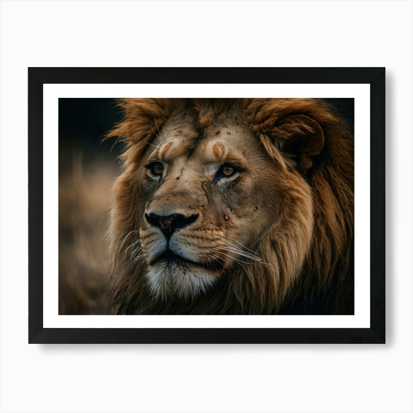 Lion Portrait Art Print Framed Wall Art Poster Canvas Print Picture