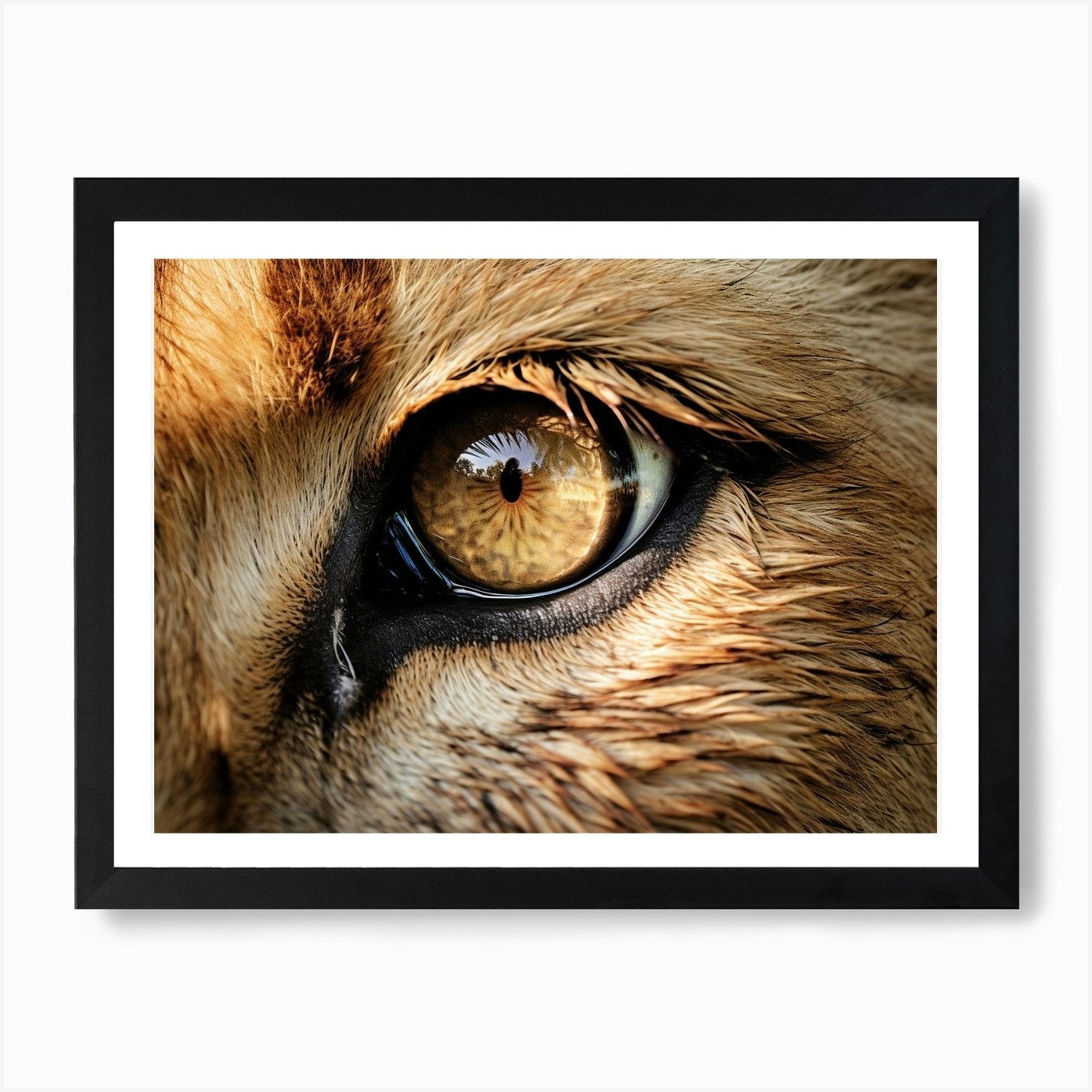 African Lion Eyes Realism Painting1 Framed Wall Art Poster Canvas Print Picture