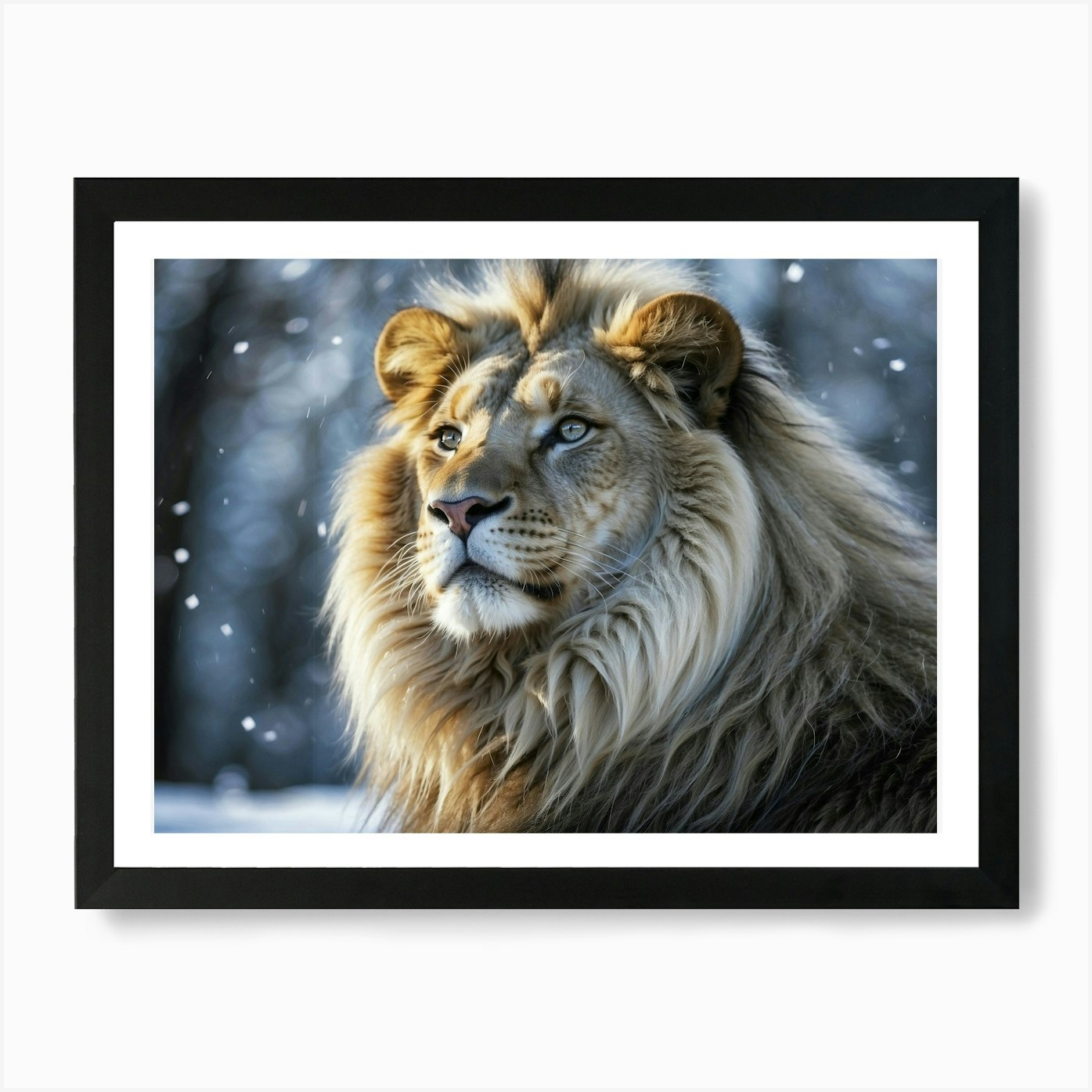 Lion In The Snow Art Print Framed Wall Art Poster Canvas Print Picture