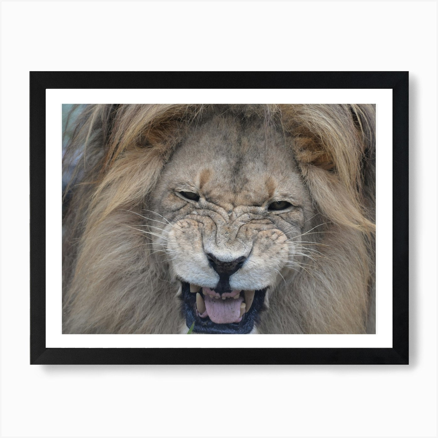 Lion Portrait Art Print Framed Wall Art Poster Canvas Print Picture