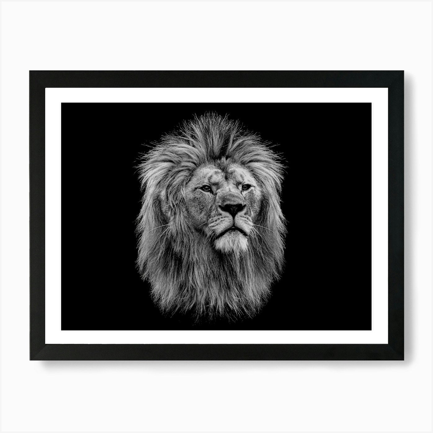 Lion Head 1 Art Print Framed Wall Art Poster Canvas Print Picture