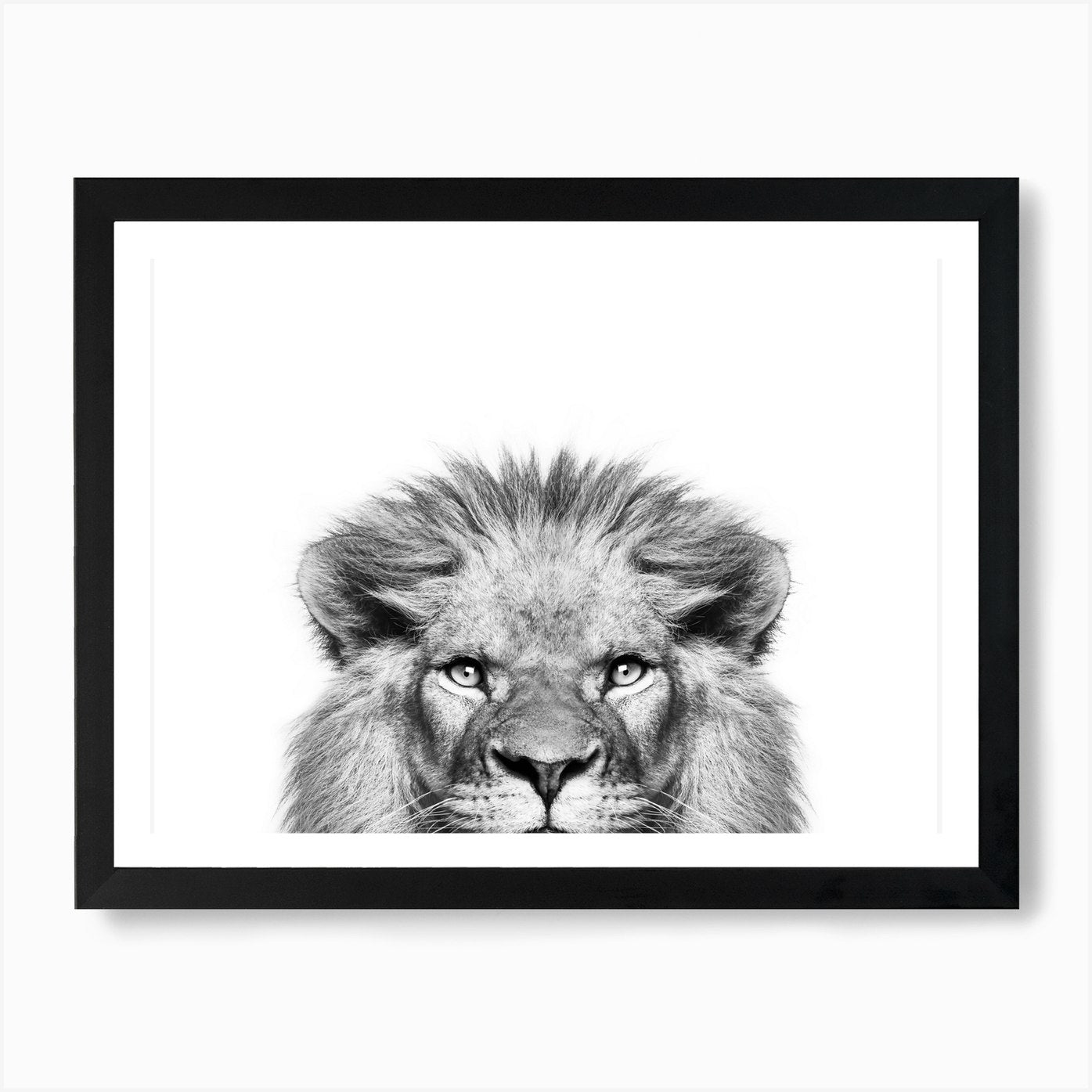 Peeking Lion Art Print Framed Wall Art Poster Canvas Print Picture