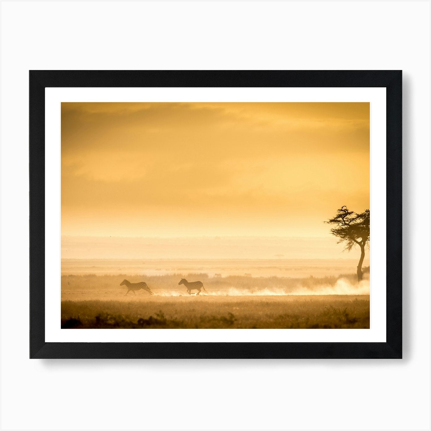 Training Because The Lions Await Ar Framed Wall Art Poster Canvas Print Picture