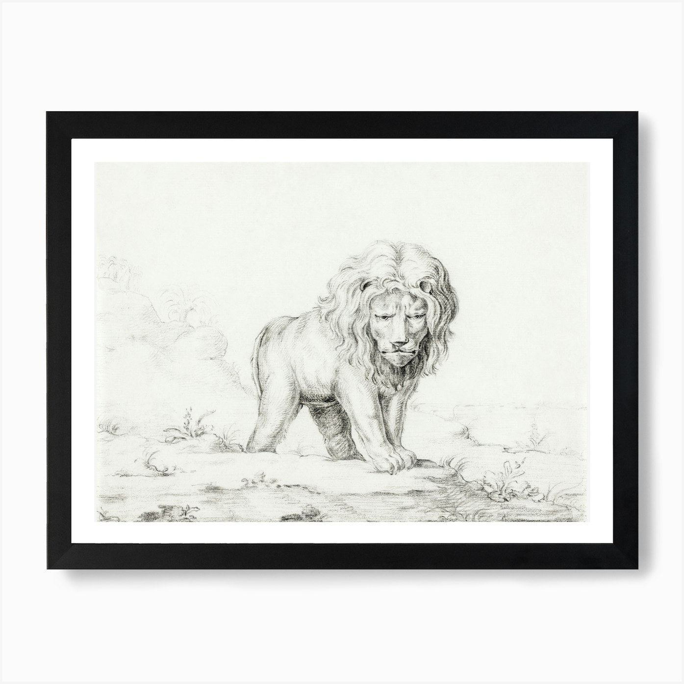 Lion, Jean Bernard Art Print Framed Wall Art Poster Canvas Print Picture