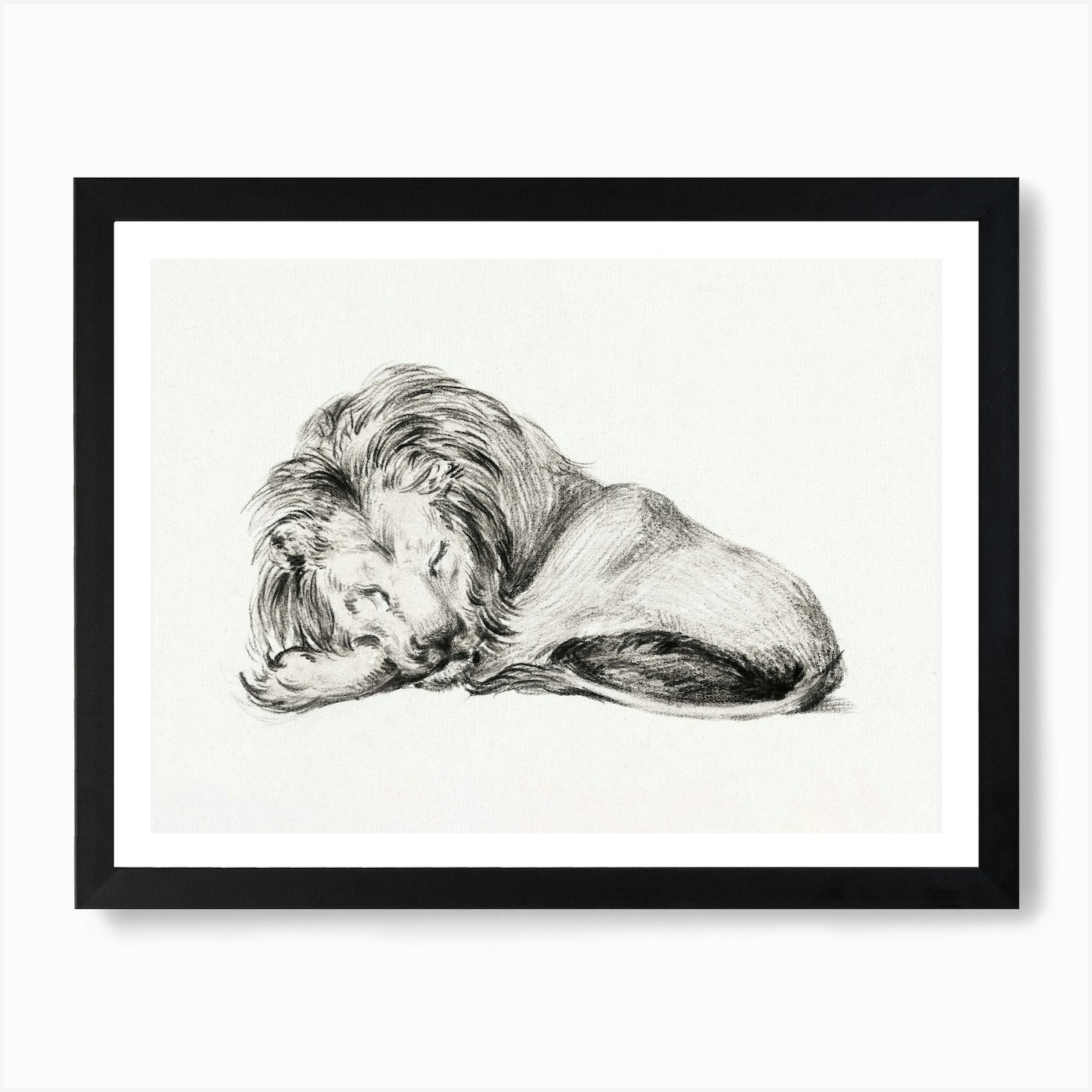 Lying Lion, Jean Bernard Art Print Framed Wall Art Poster Canvas Print Picture