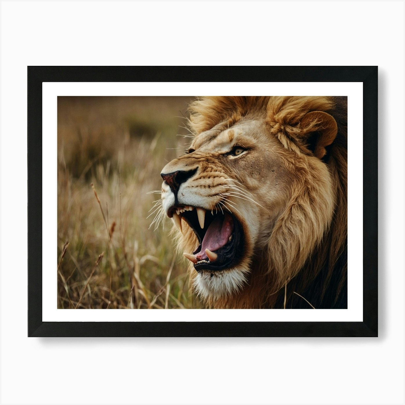 Lion Roaring 1 Art Print Framed Wall Art Poster Canvas Print Picture