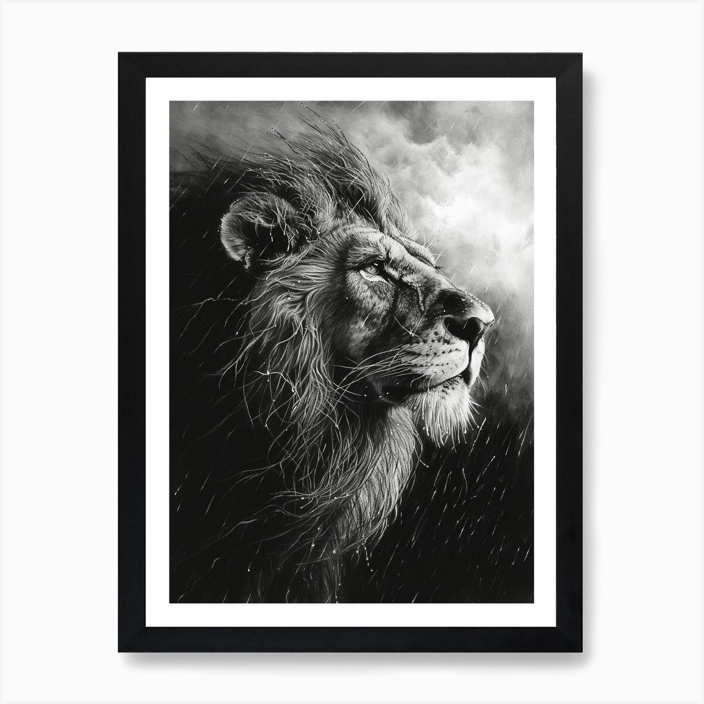 Barbary Lion Charcoal Drawing Facin Framed Wall Art Poster Canvas Print Picture