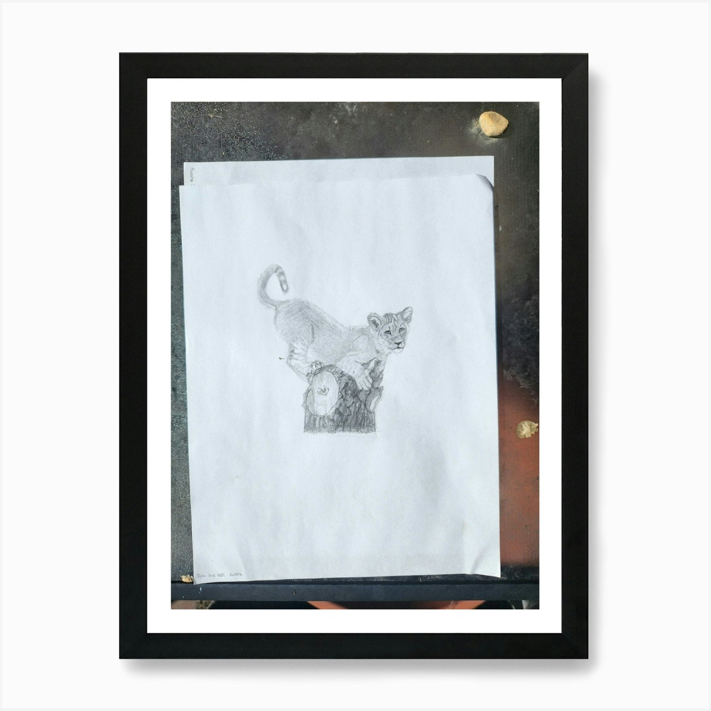 Original sketch lion cub Art Print Framed Wall Art Poster Canvas Print Picture