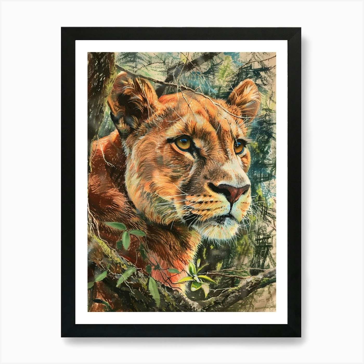 Mountain Lion Pastel Watercolour 3 Framed Wall Art Poster Canvas Print Picture