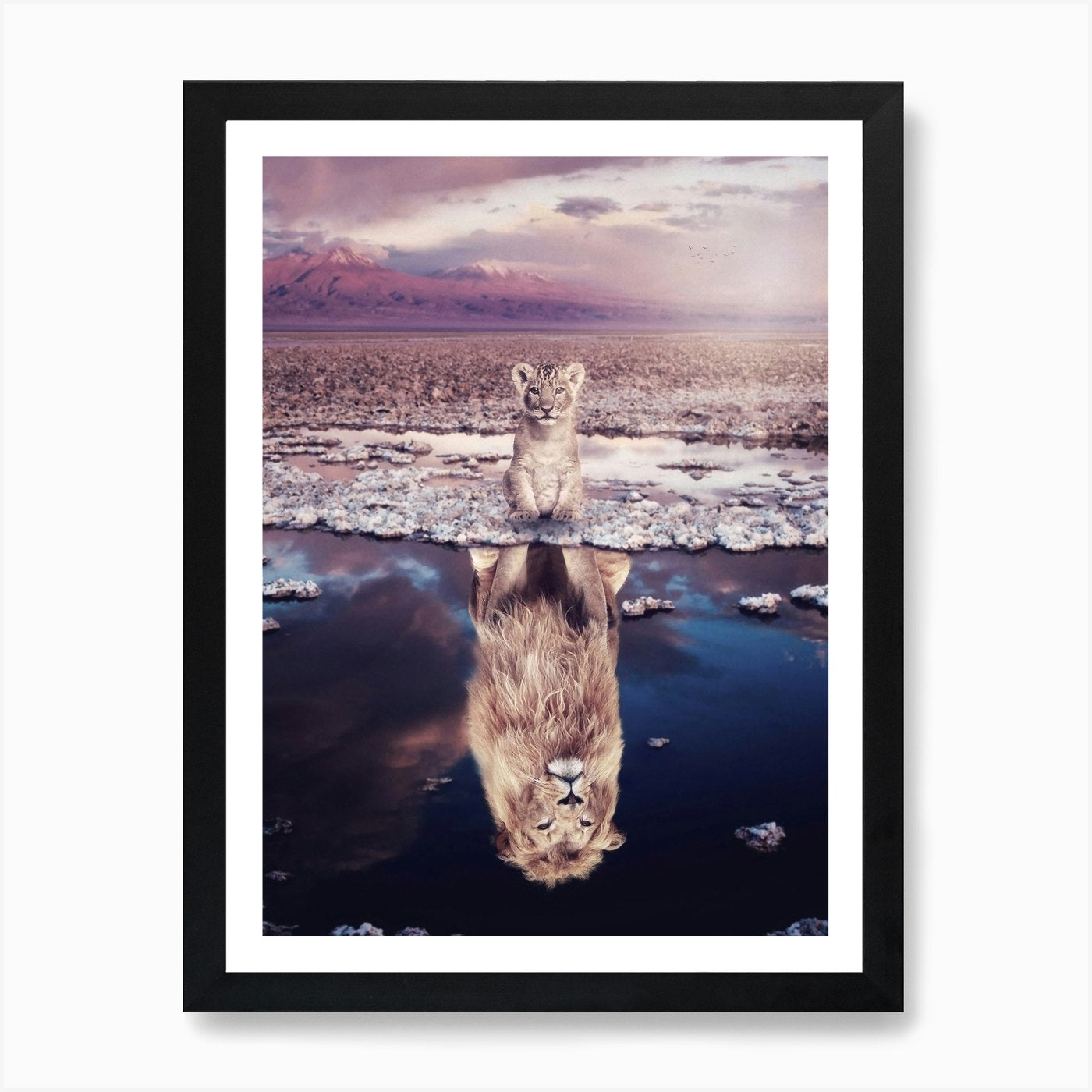 Baby Lion Will Grow Up In Savannah Framed Wall Art Poster Canvas Print Picture