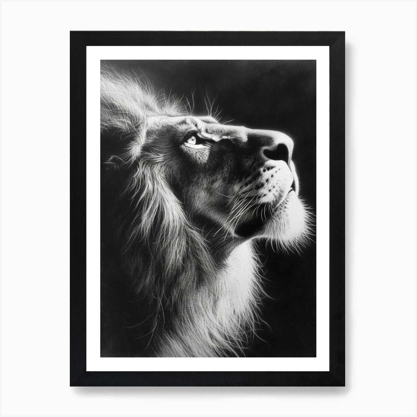 African Lion Charcoal Drawing Portr Framed Wall Art Poster Canvas Print Picture