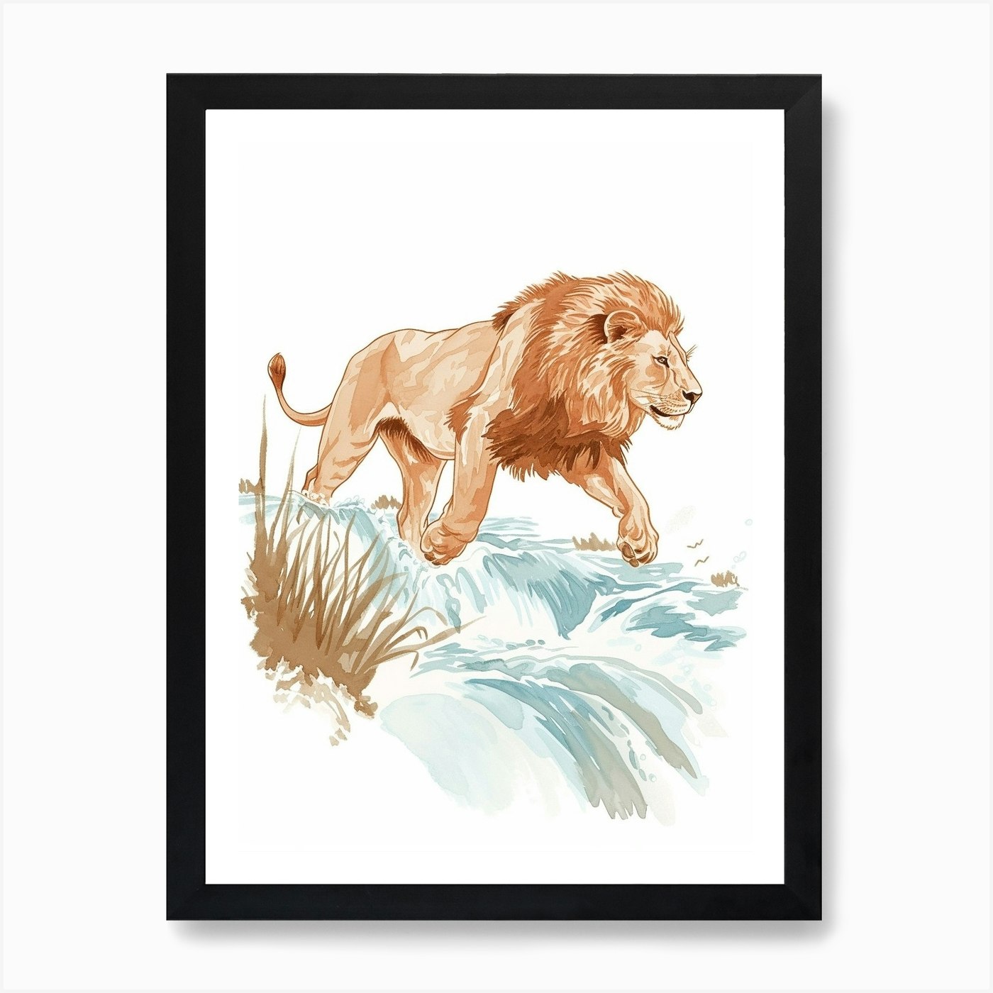 Barbary Lion Drinking From A Water Framed Wall Art Poster Canvas Print Picture