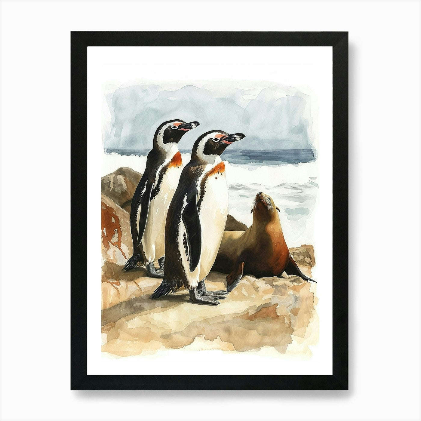 Humboldt Penguin Sea Lion Island Wa Framed Wall Art Poster Canvas Print Picture