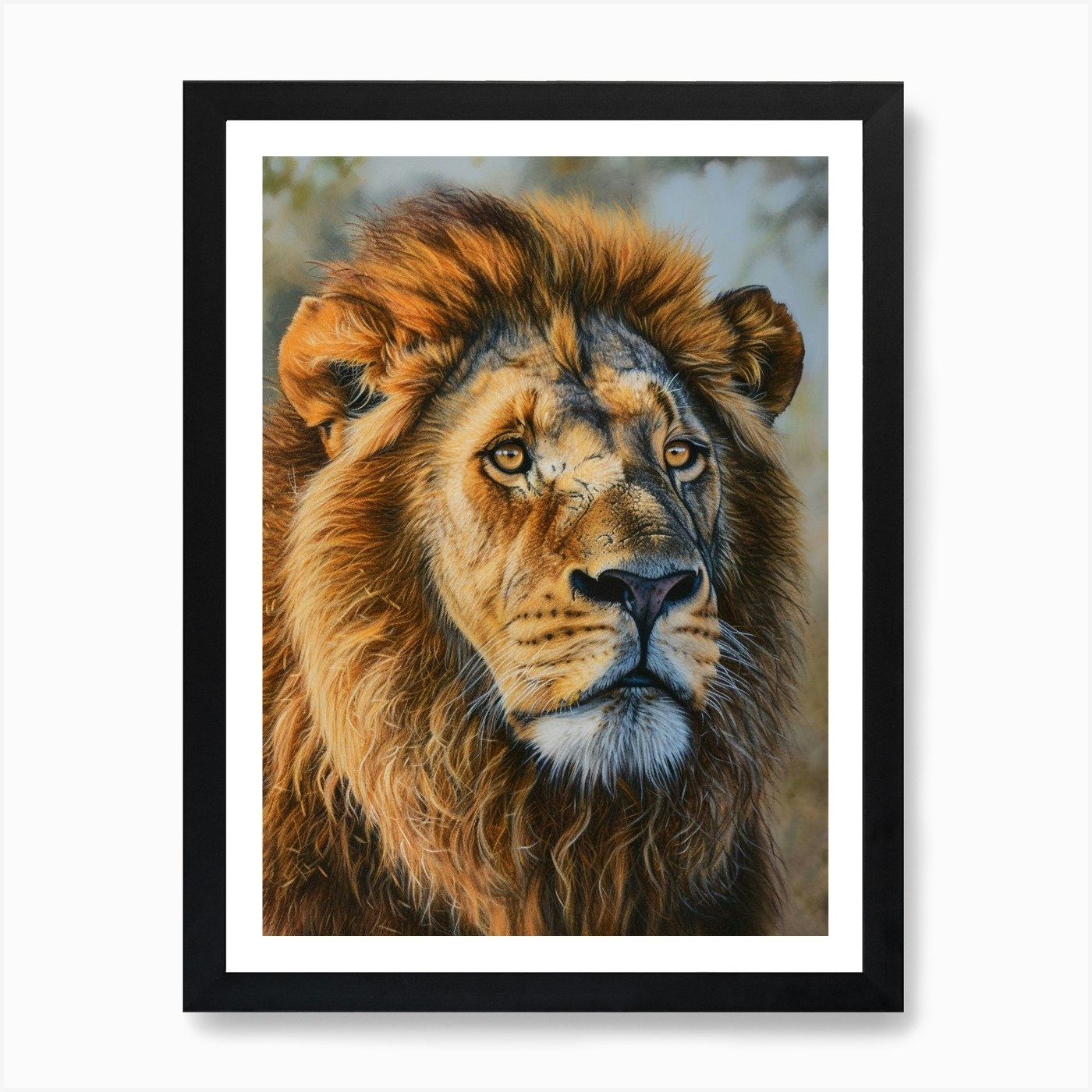Barbary Lion Portrait Close Up 5 Ar Framed Wall Art Poster Canvas Print Picture