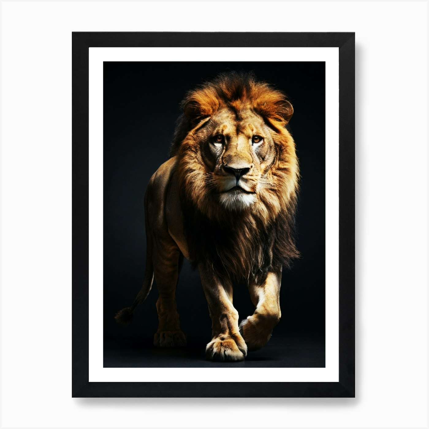 Lion Walking On Black Background Ar Framed Wall Art Poster Canvas Print Picture