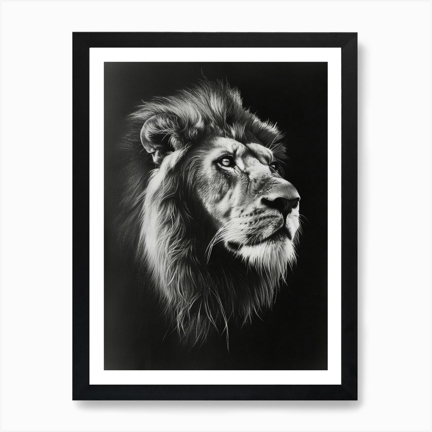 Barbary Lion Charcoal Drawing Symbo Framed Wall Art Poster Canvas Print Picture