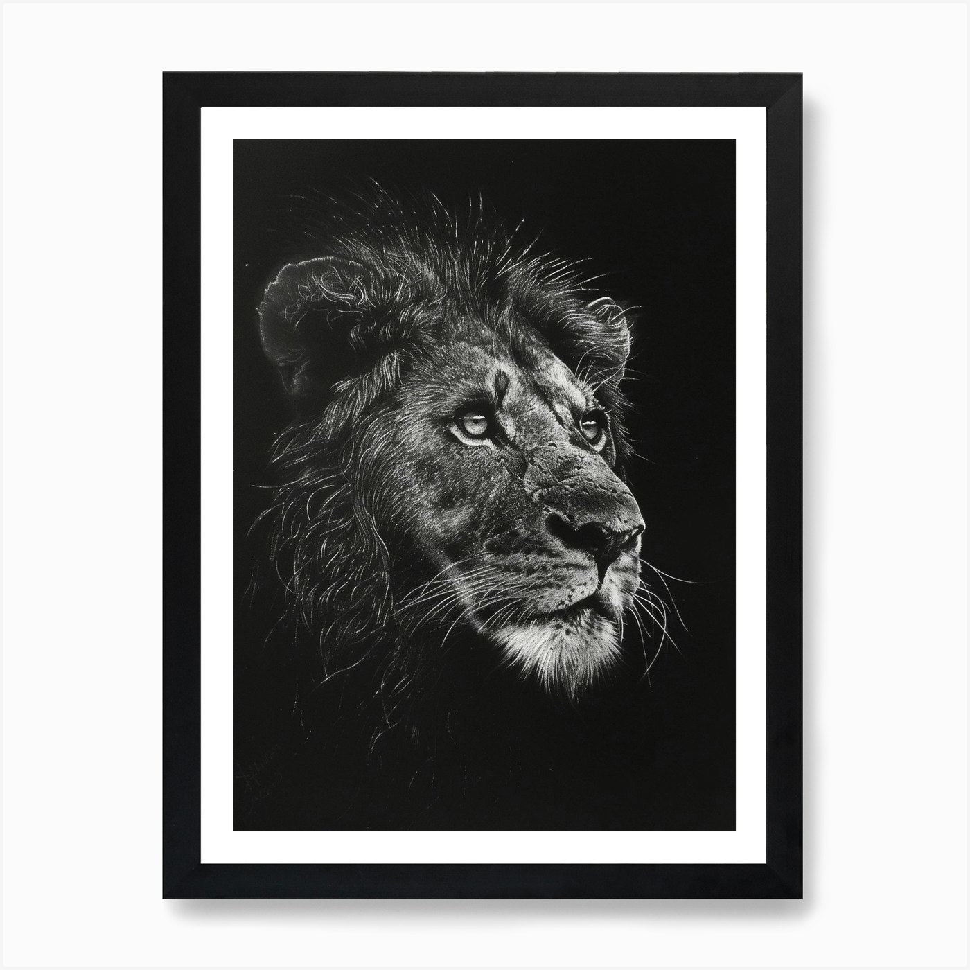 Barbary Lion Charcoal Drawing Night Framed Wall Art Poster Canvas Print Picture