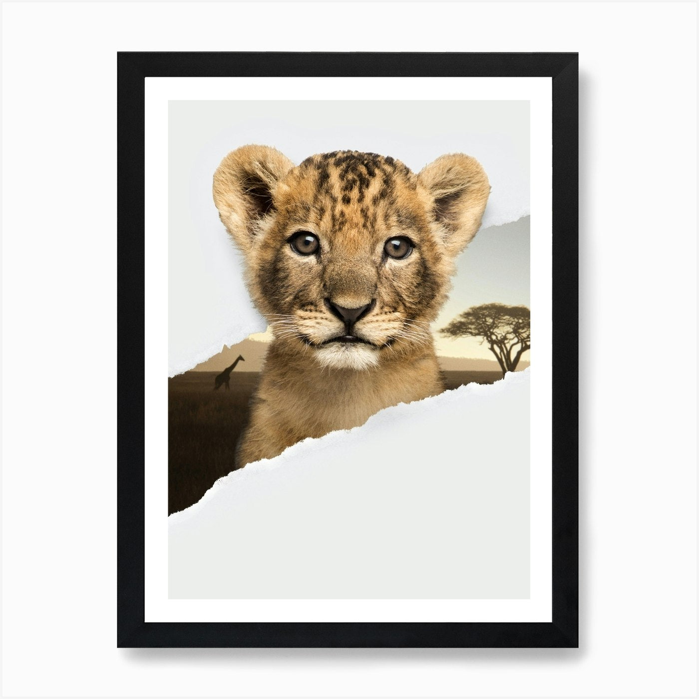 Lion Cub Torn Paper Art Print Framed Wall Art Poster Canvas Print Picture