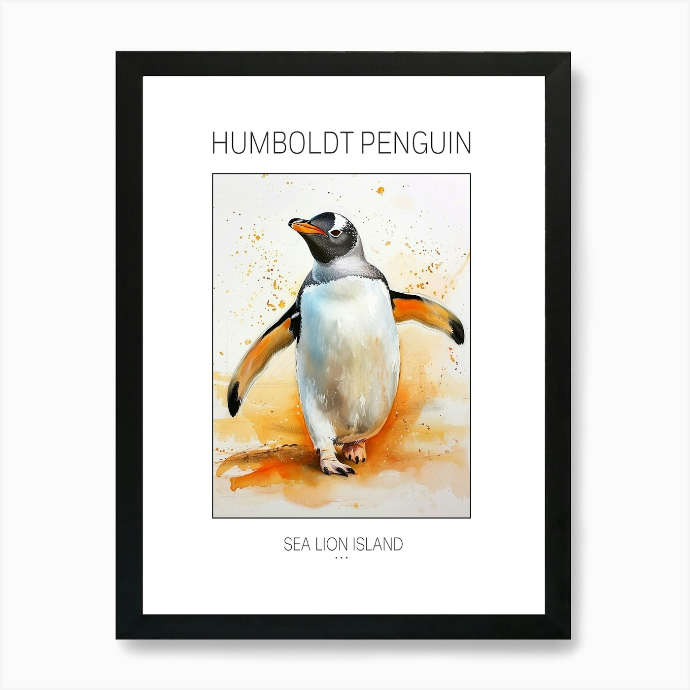 Humboldt Penguin Sea Lion Island Wa Framed Wall Art Poster Canvas Print Picture