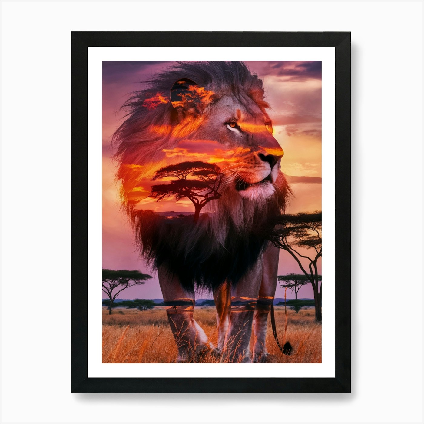Sunset Lion 1 Art Print Framed Wall Art Poster Canvas Print Picture
