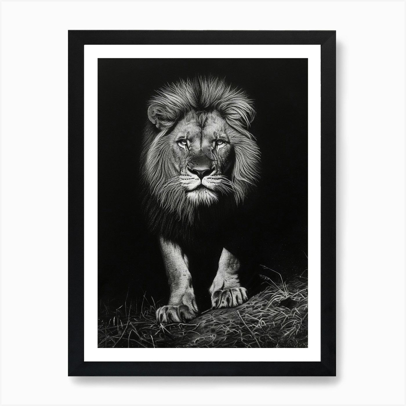 Barbary Lion Charcoal Drawing Night Framed Wall Art Poster Canvas Print Picture