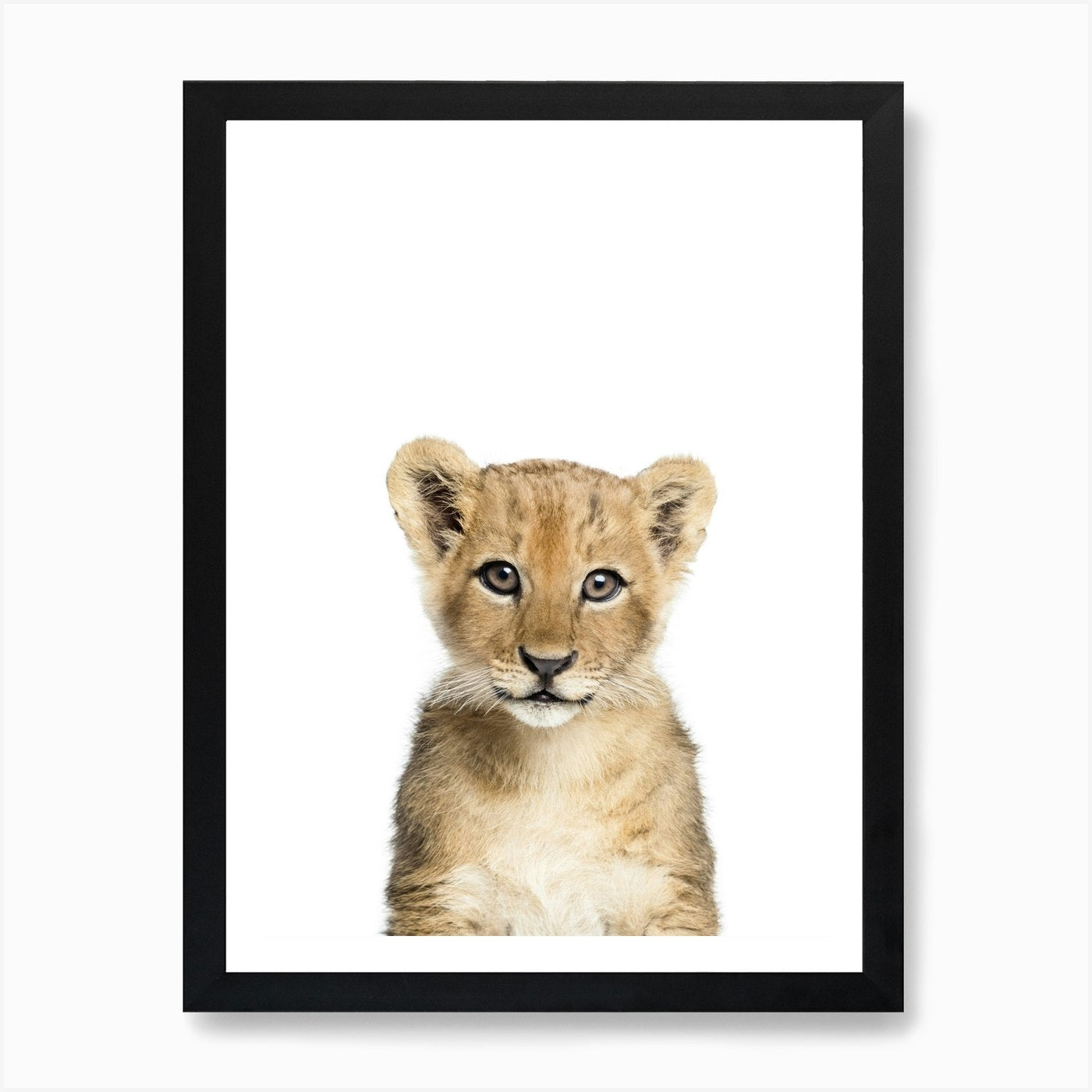 Lion Art Print Framed Wall Art Poster Canvas Print Picture