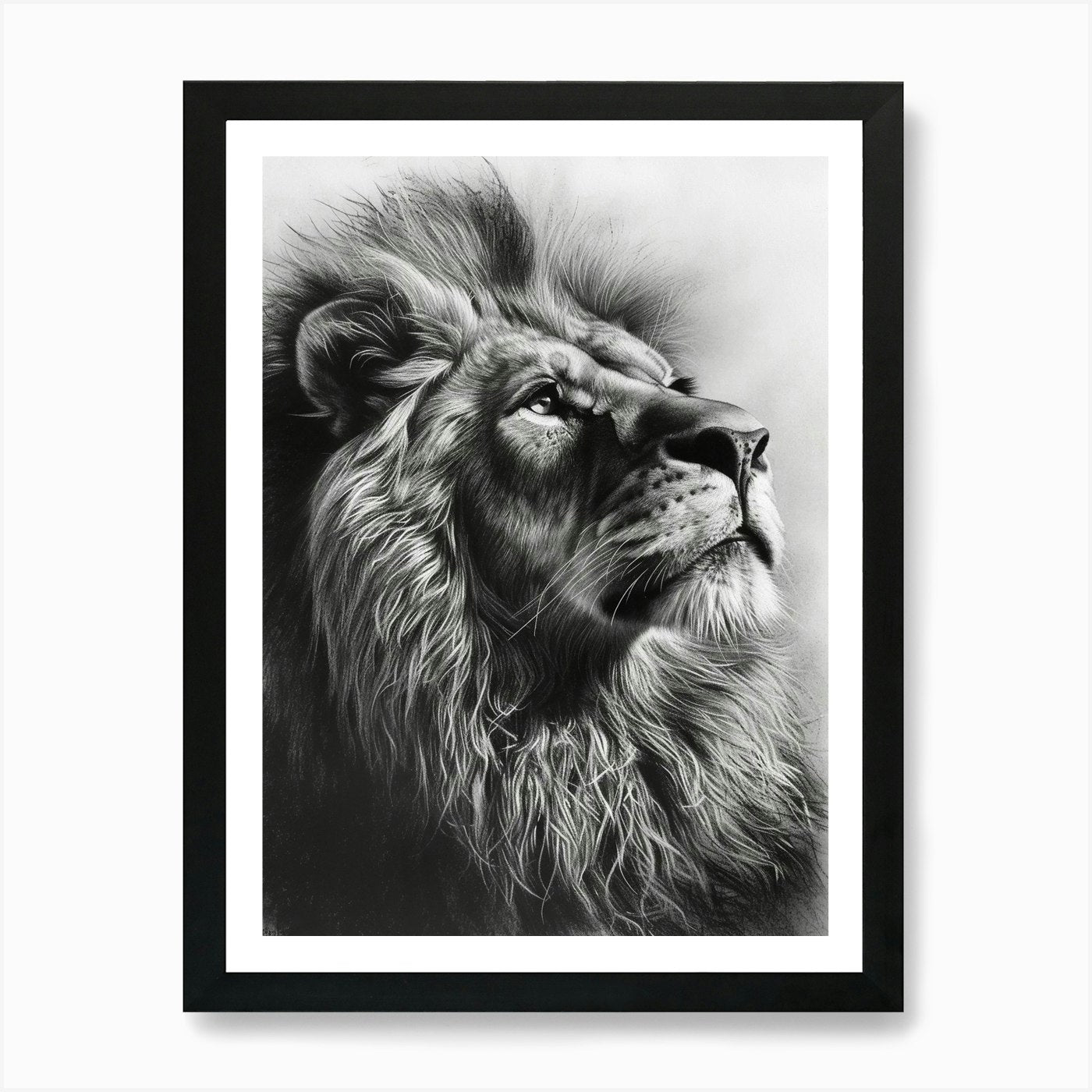 Barbary Lion Charcoal Drawing Portr Framed Wall Art Poster Canvas Print Picture