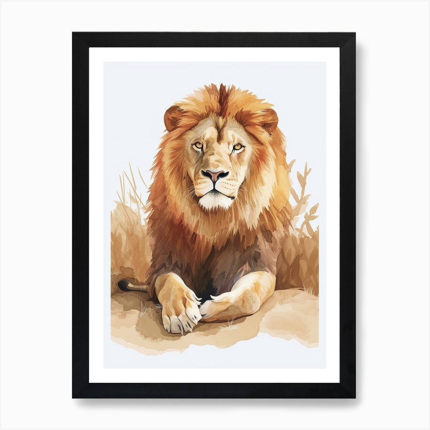 African Lion Resting In The Sun Cli Framed Wall Art Poster Canvas Print Picture